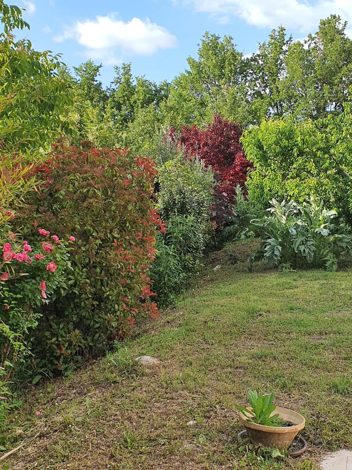 Saint-Martin-de-Castillon Hanna En Luberon - Le Boisset מראה חיצוני תמונה